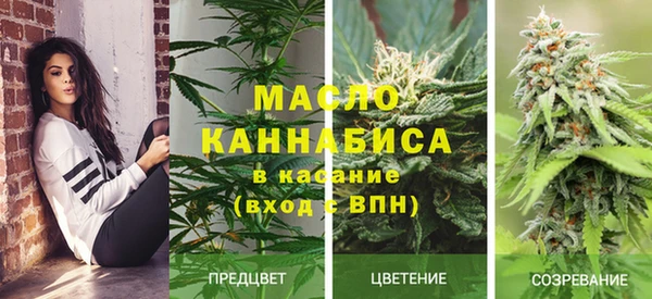 ешки Арсеньев