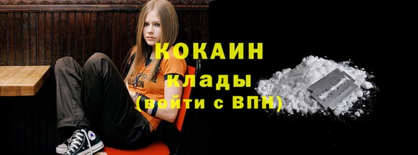 ешки Арсеньев