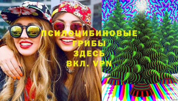 сатива Аркадак
