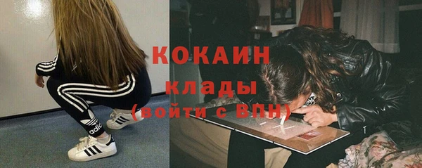 сатива Аркадак