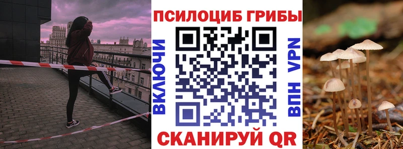 Псилоцибиновые грибы ЛСД площадка формула Бабаево
