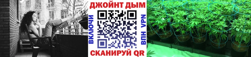 где купить наркоту  hydra маркетплейс  Каннабис семена  Бабаево 